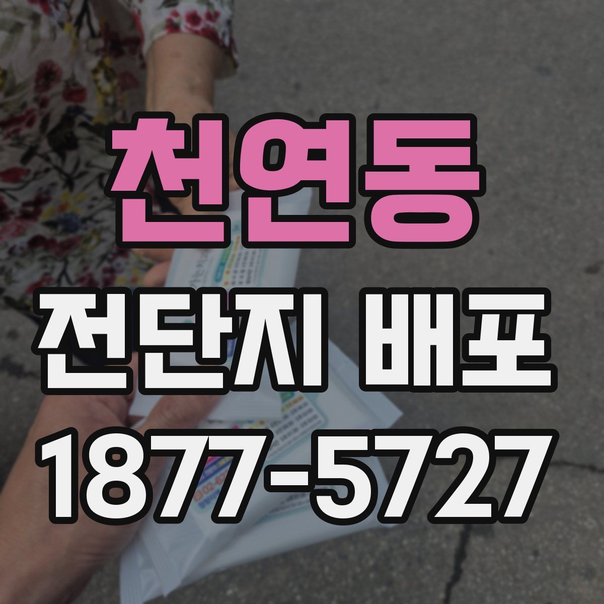 천연동 전단지 배포