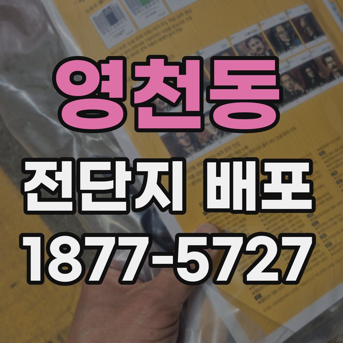 영천동 전단지 배포