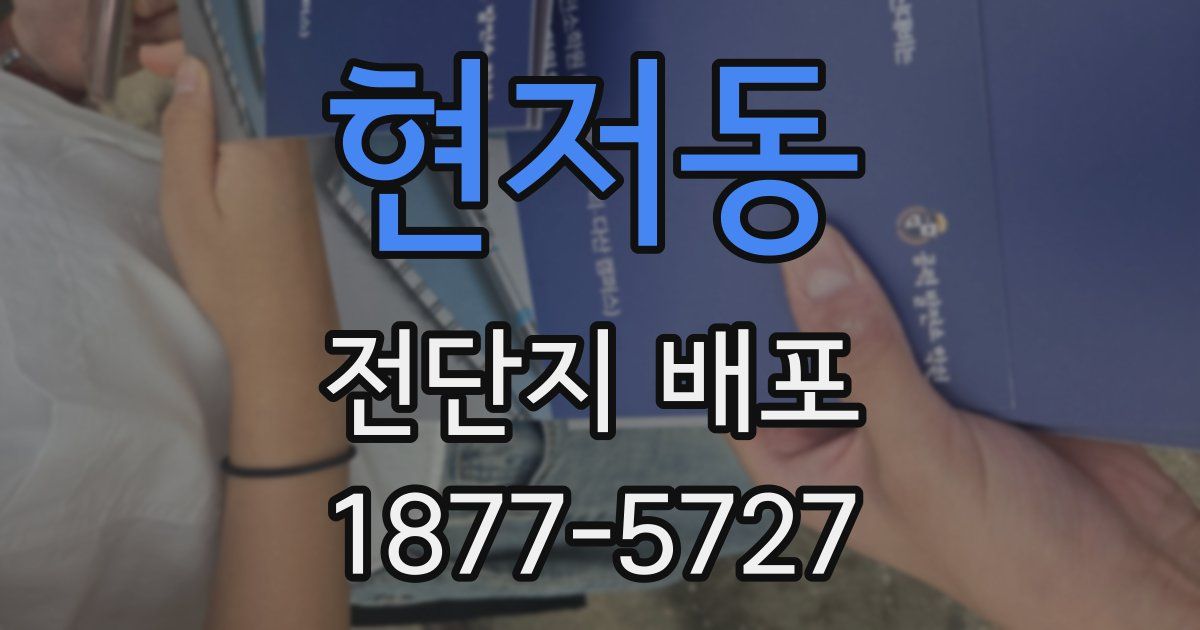 현저동 전단지 배포