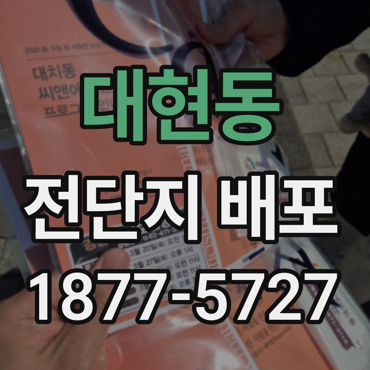 대현동 전단지 배포