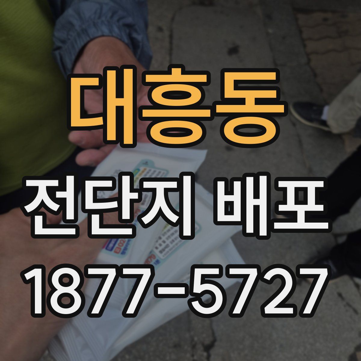 대흥동 전단지 배포