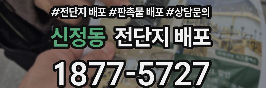 신정동 전단지 배포