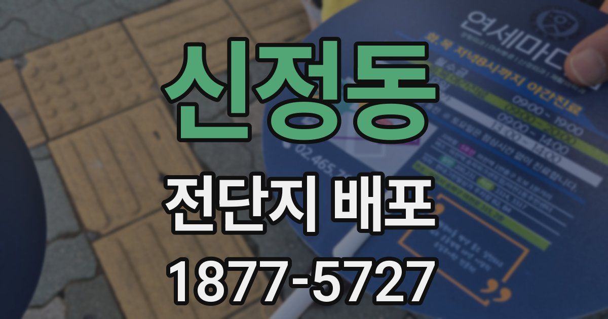 신정동 전단지 배포