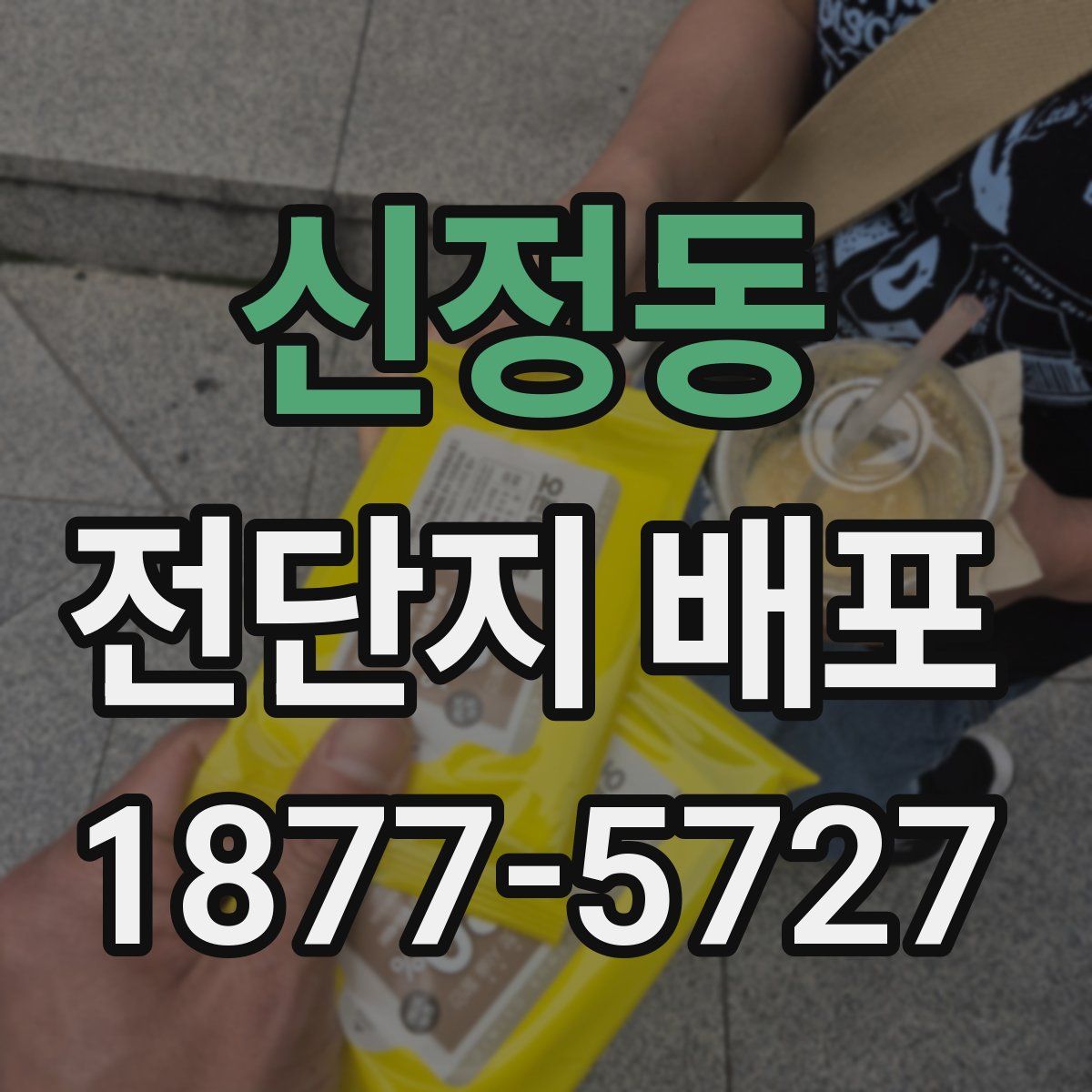 신정동 전단지 배포