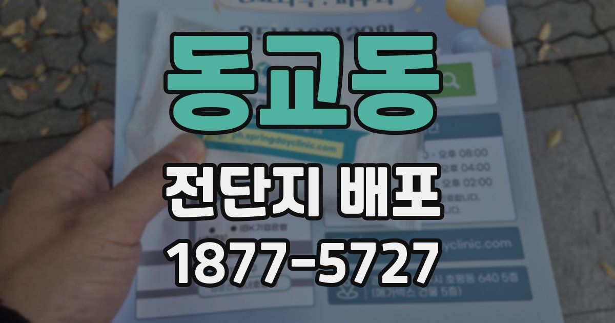 동교동 전단지 배포