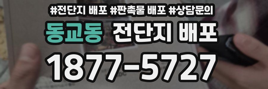 동교동 전단지 배포