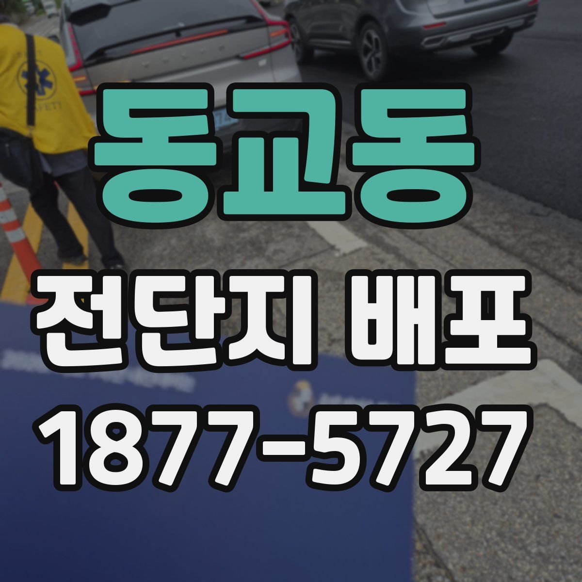 동교동 전단지 배포