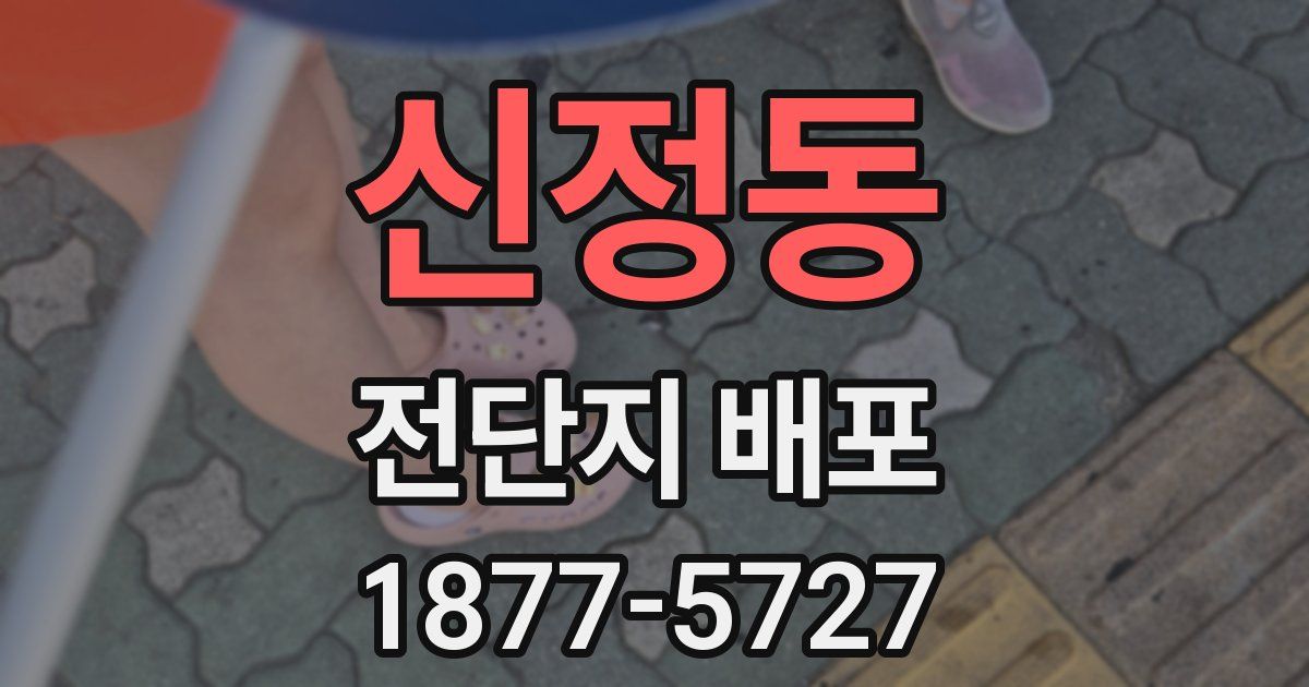 신정동 전단지 배포