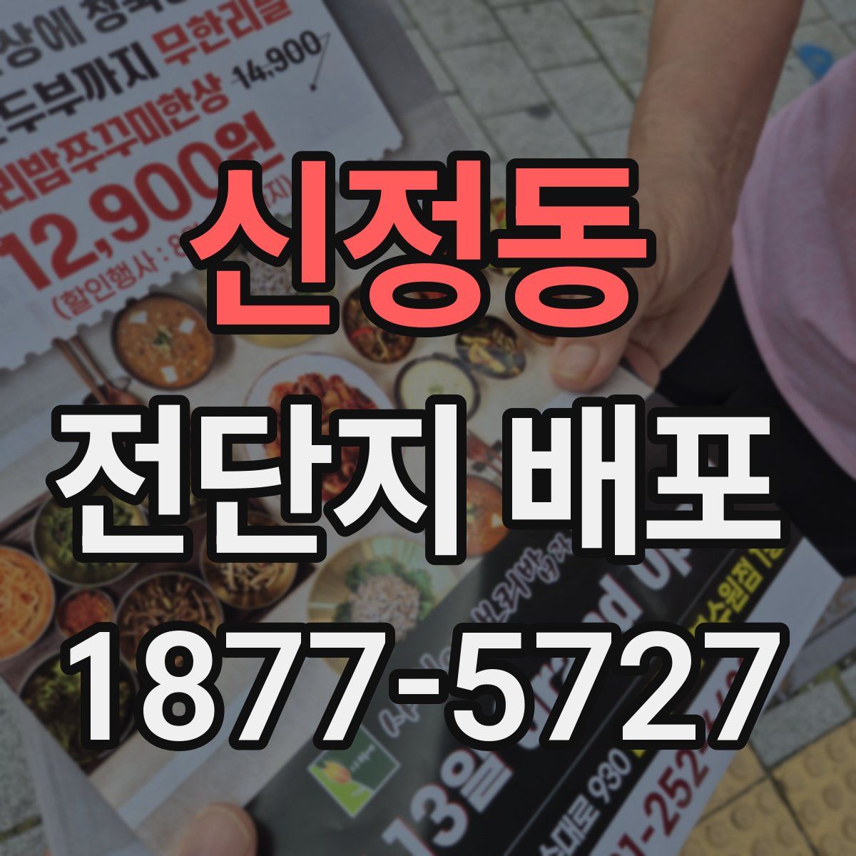 신정동 전단지 배포