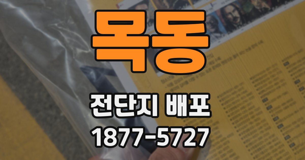 목동 전단지 배포