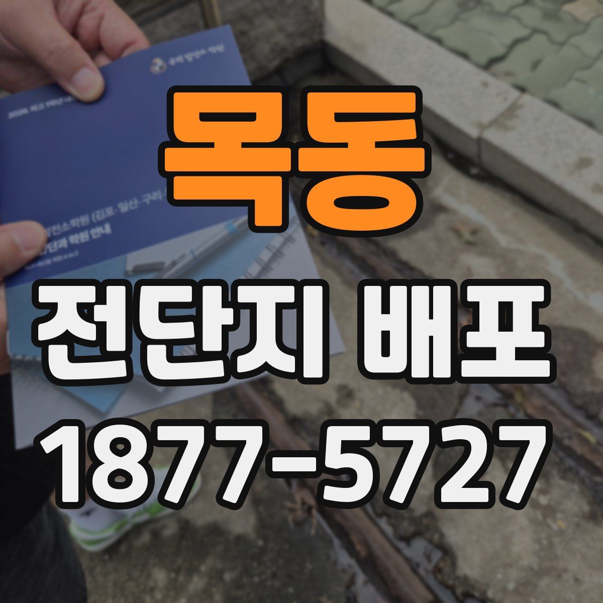 목동 전단지 배포
