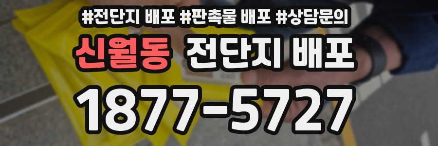 신월동 전단지 배포