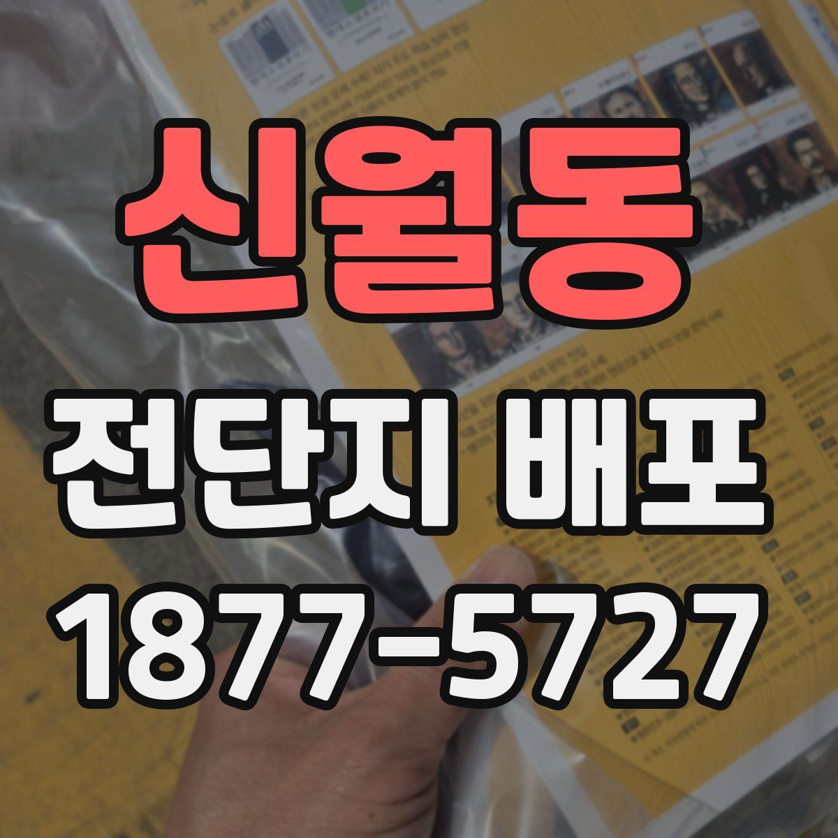 신월동 전단지 배포