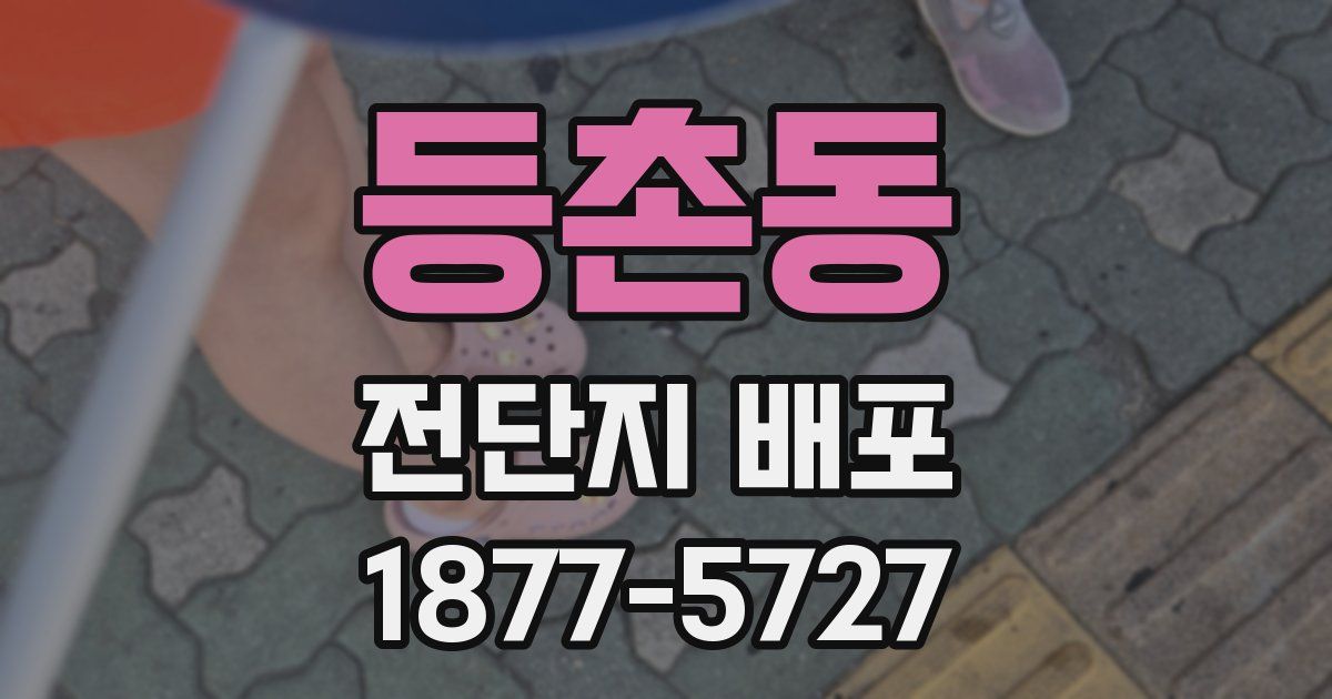 등촌동 전단지 배포