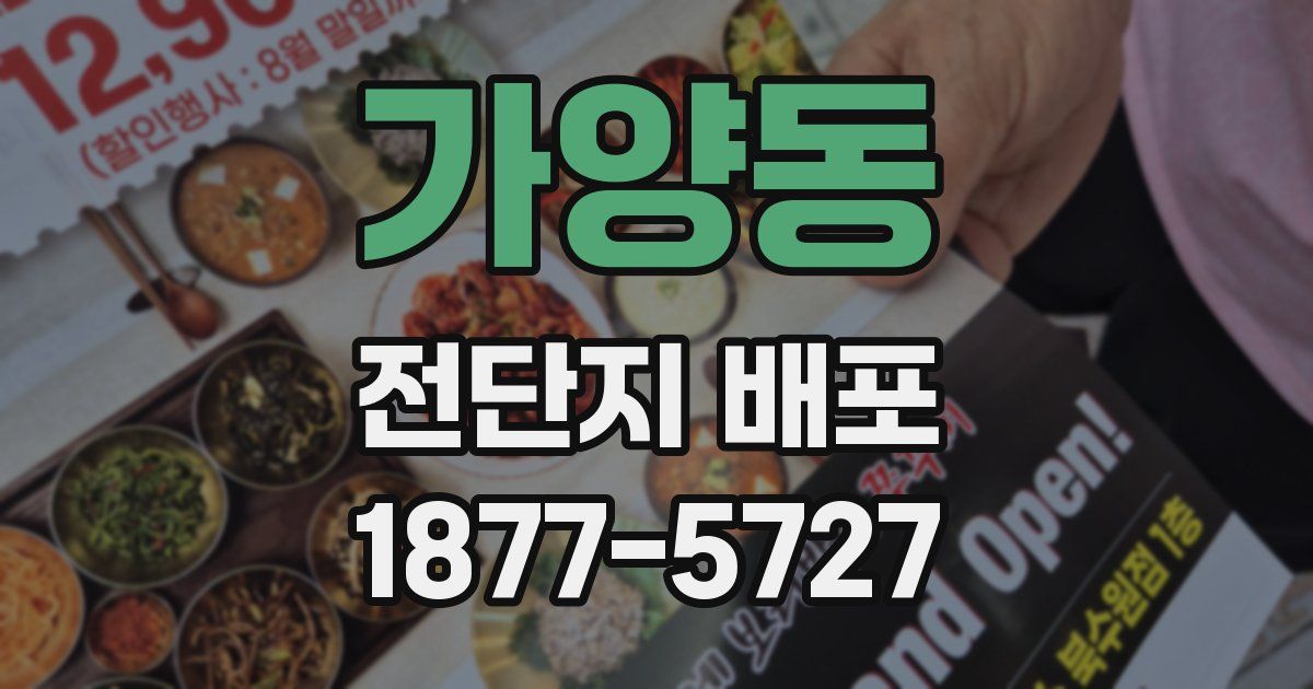 가양동 전단지 배포