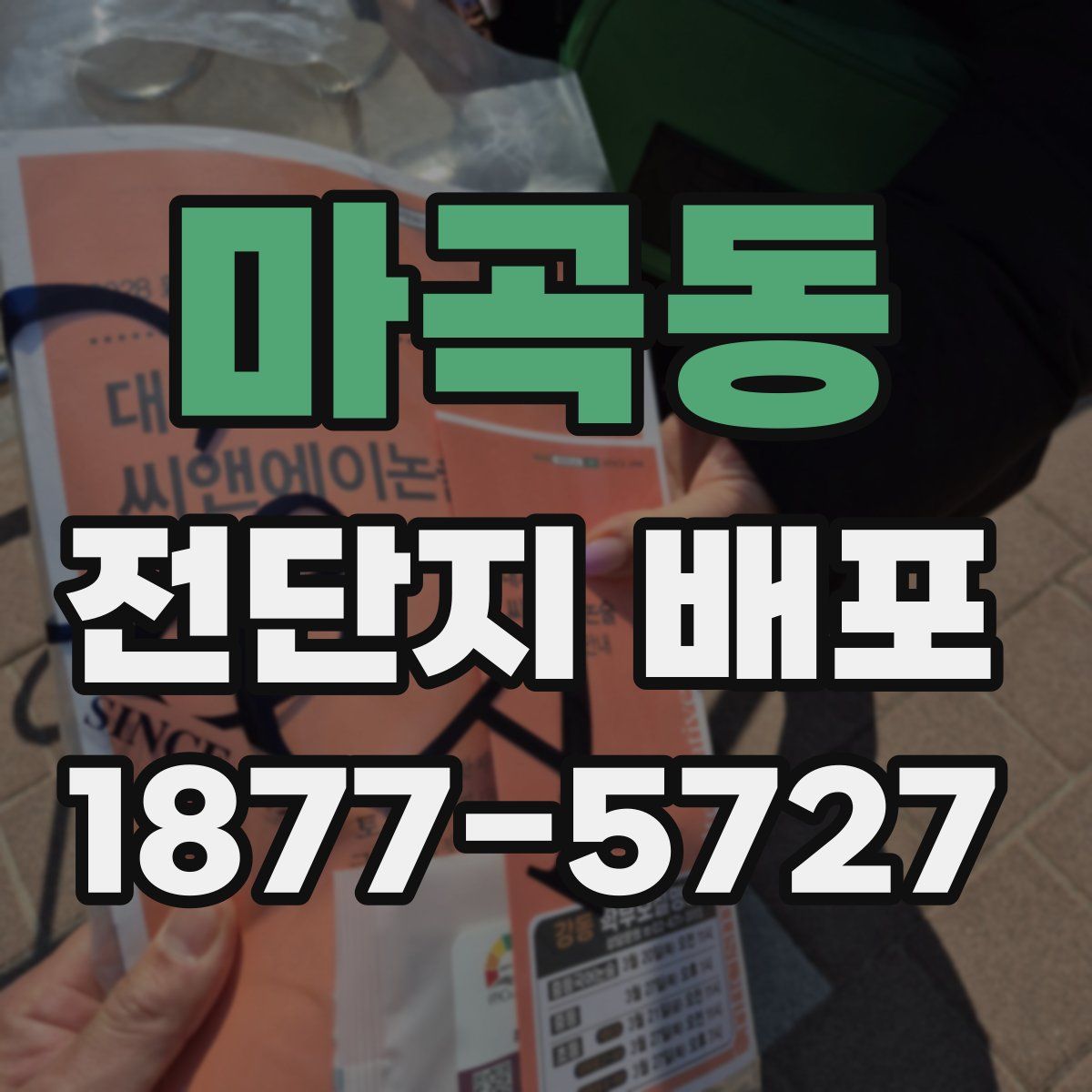 마곡동 전단지 배포