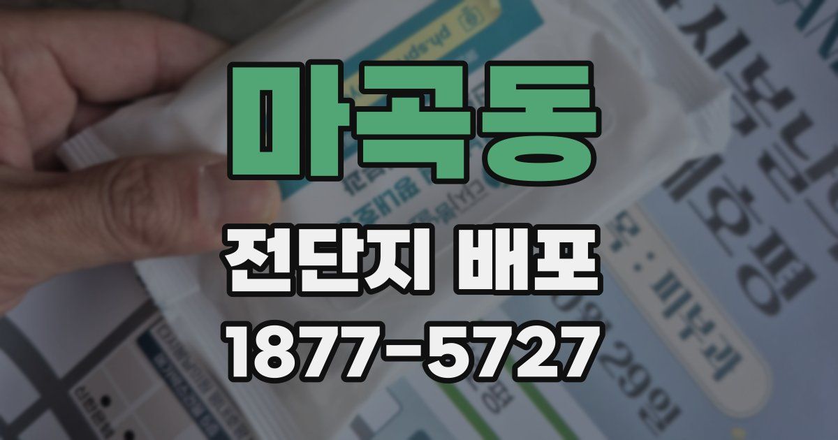 마곡동 전단지 배포