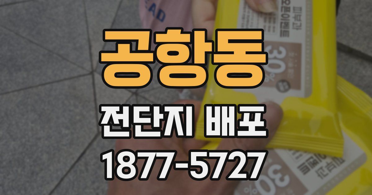 공항동 전단지 배포