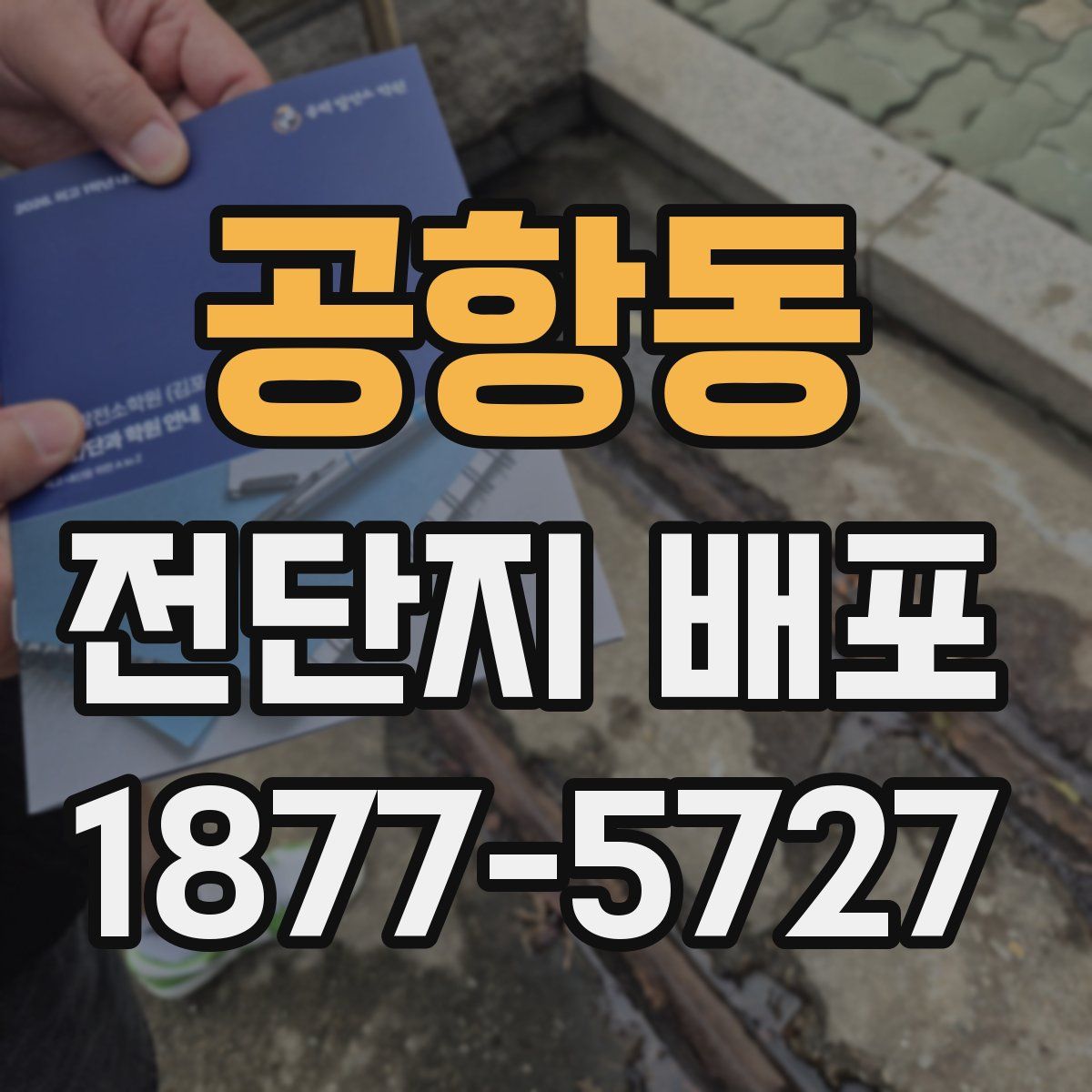 공항동 전단지 배포