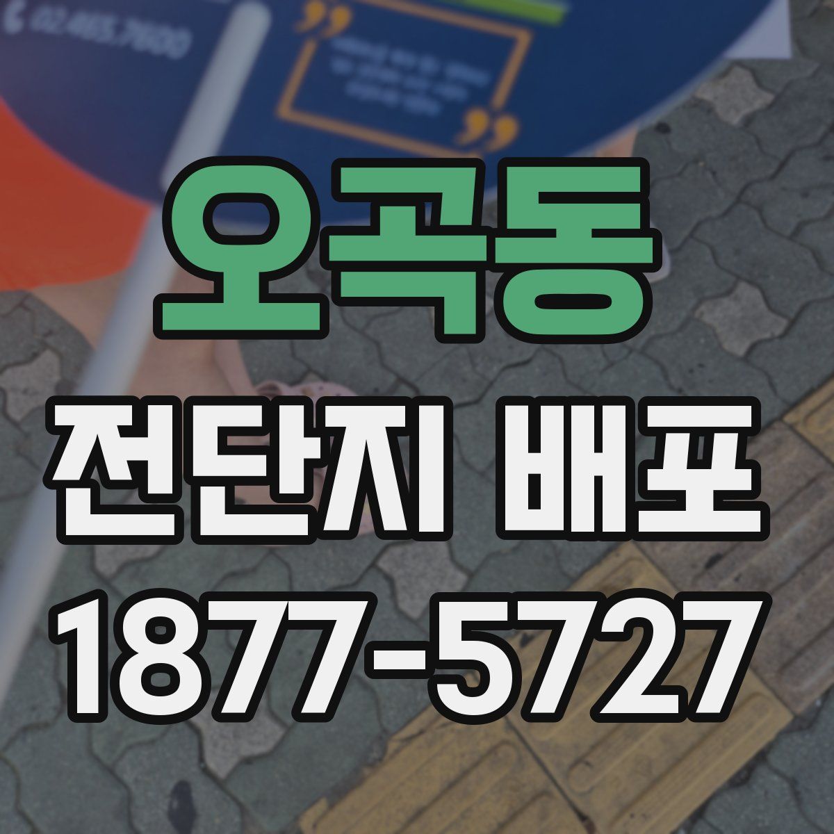 오곡동 전단지 배포