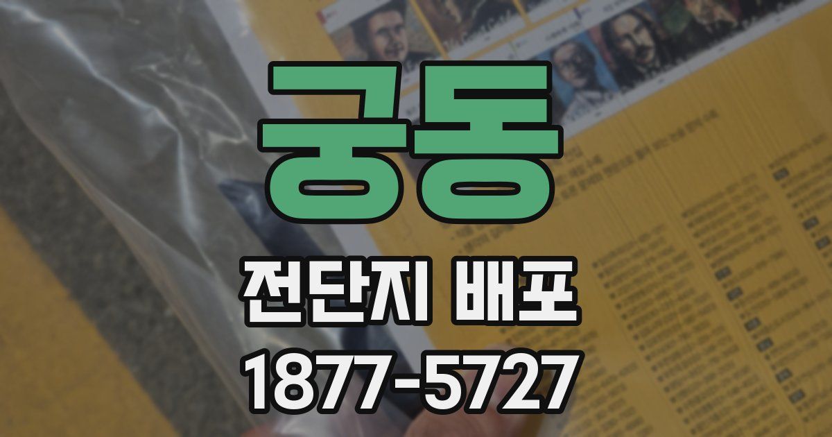 궁동 전단지 배포