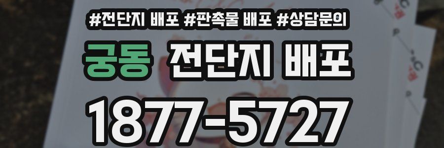 궁동 전단지 배포
