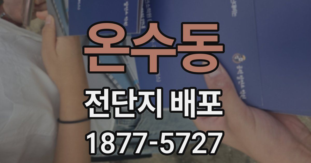 온수동 전단지 배포