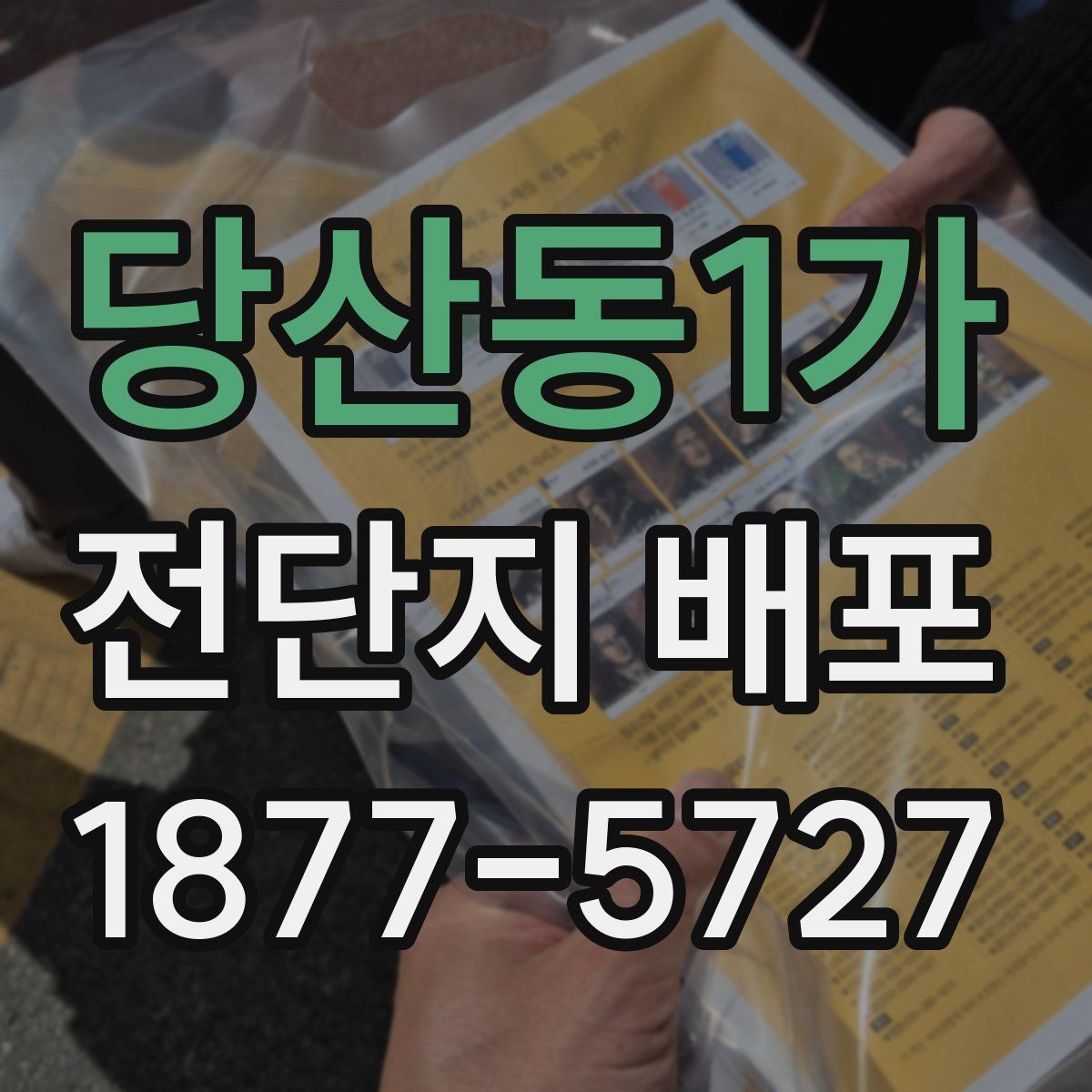 당산동1가 전단지 배포