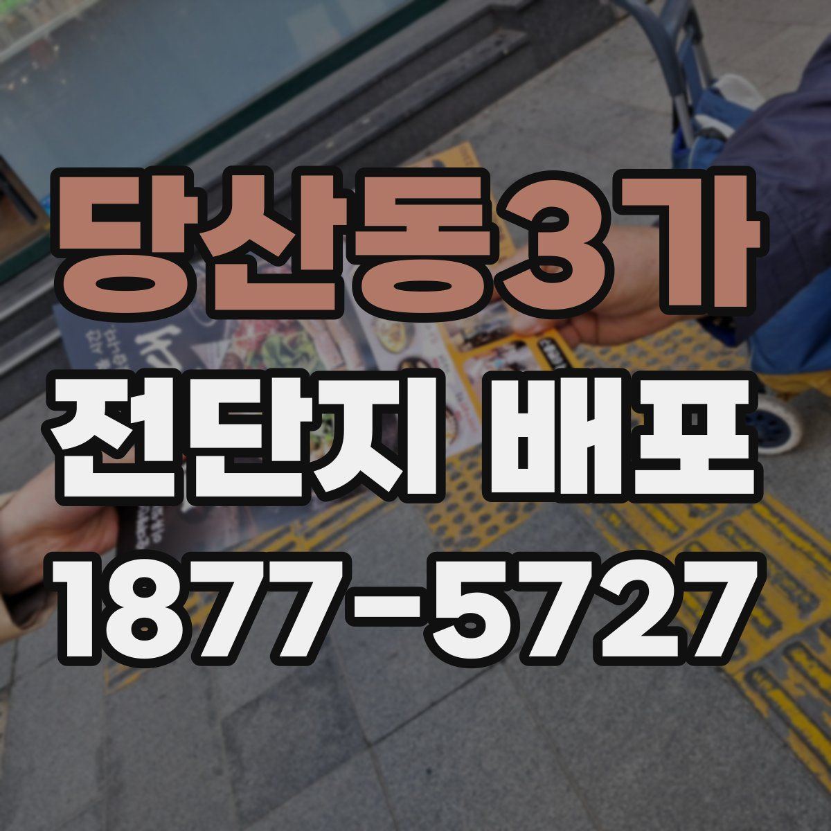 당산동3가 전단지 배포