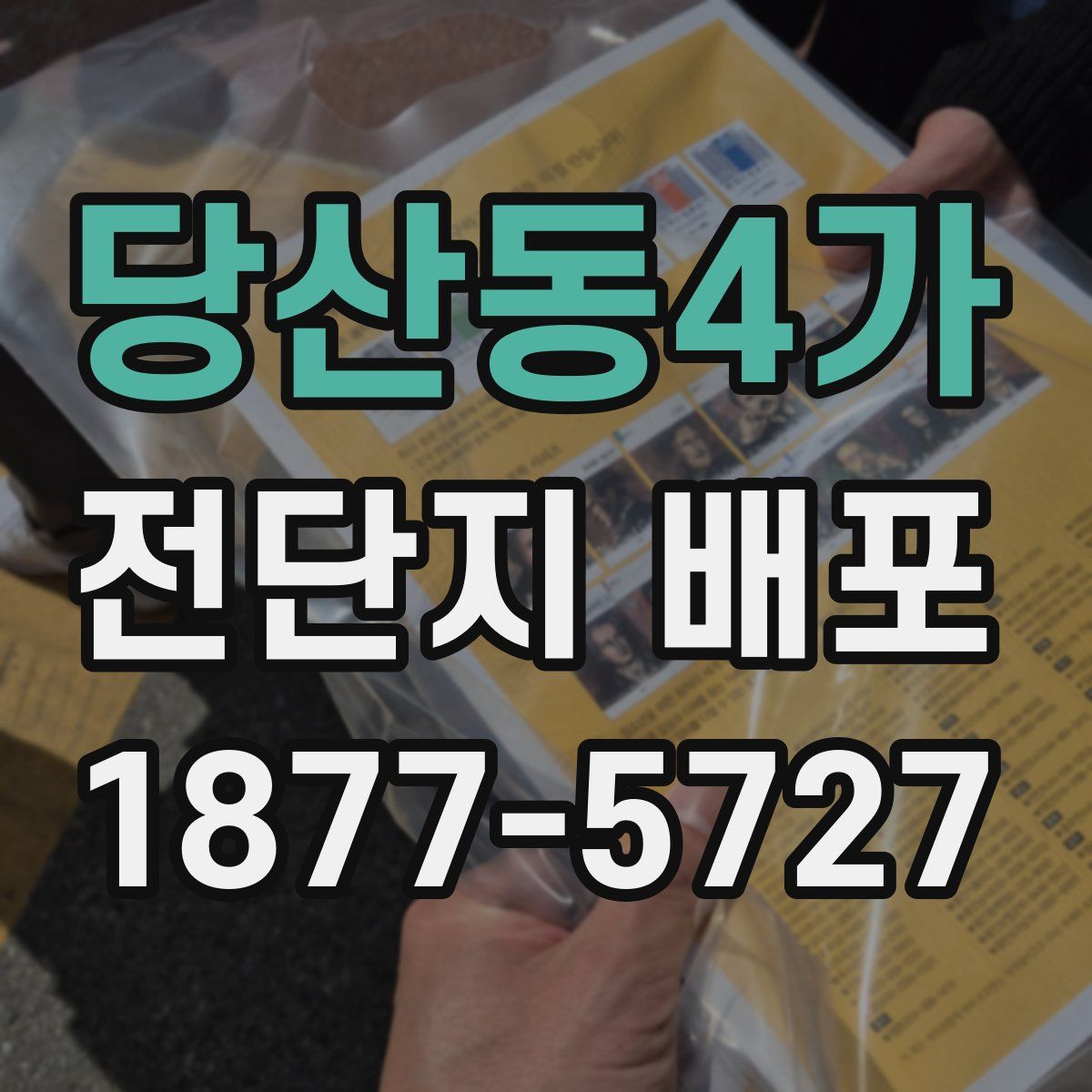 당산동4가 전단지 배포