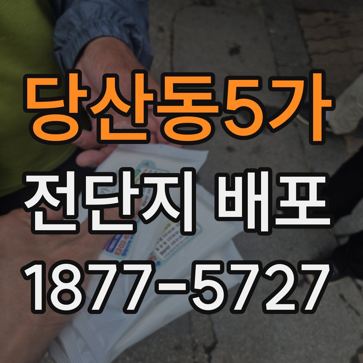 당산동5가 전단지 배포
