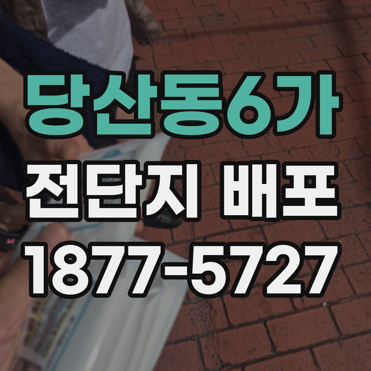당산동6가 전단지 배포