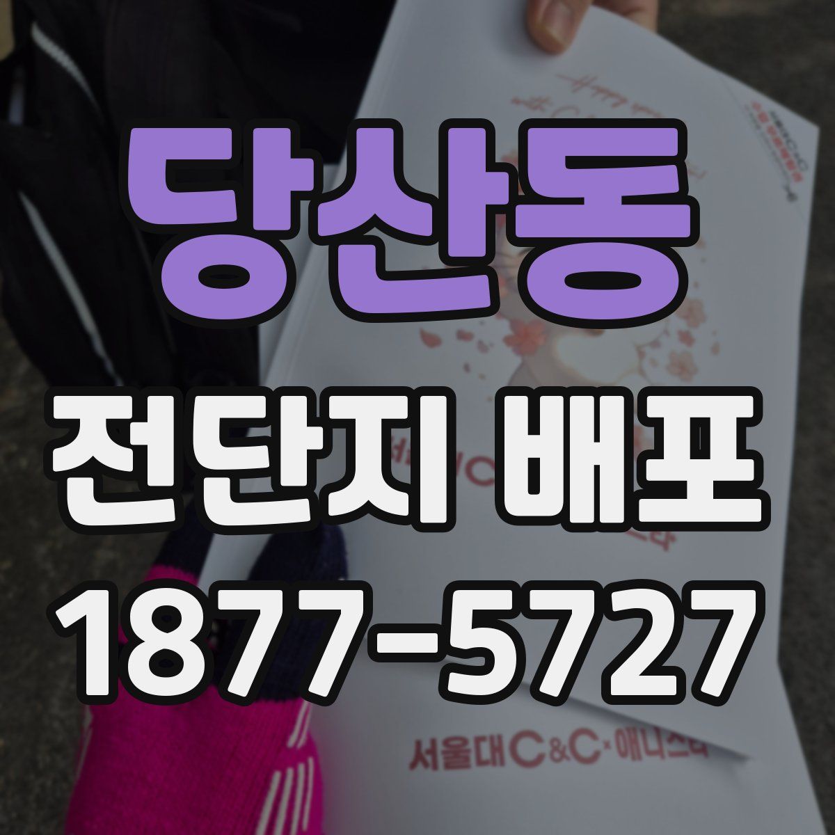 당산동 전단지 배포