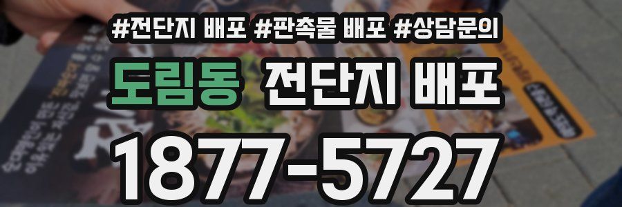 도림동 전단지 배포
