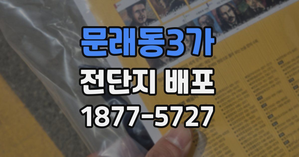 문래동3가 전단지 배포