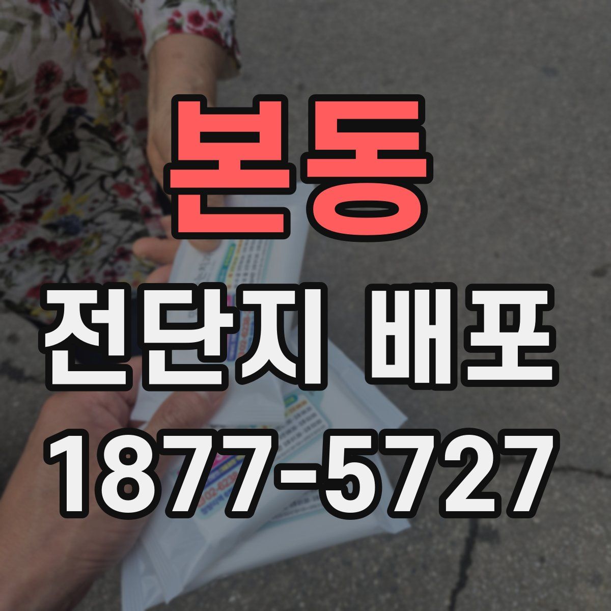 본동 전단지 배포