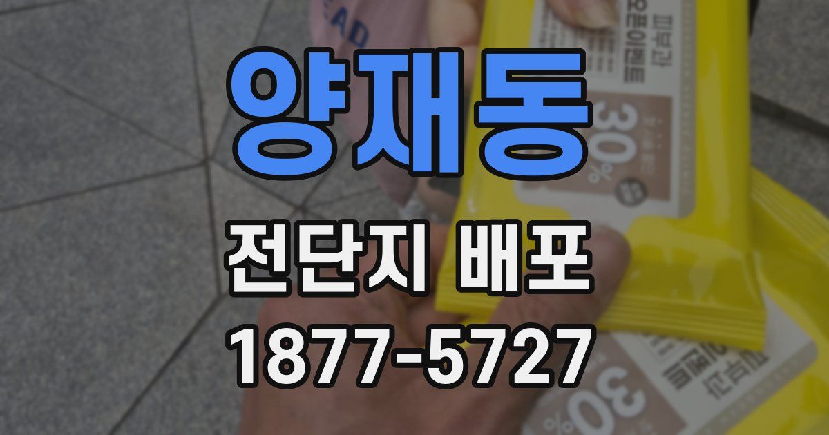 양재동 전단지 배포