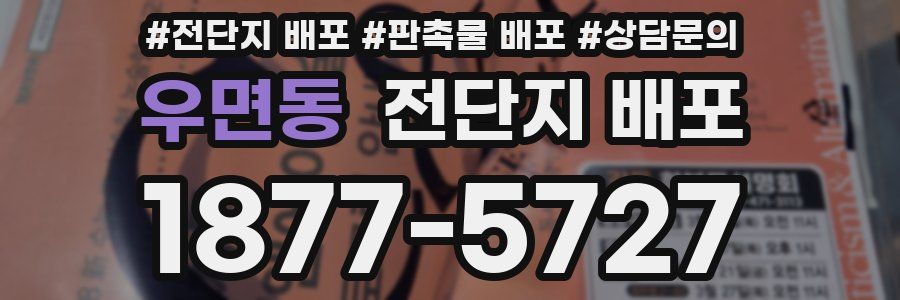 우면동 전단지 배포