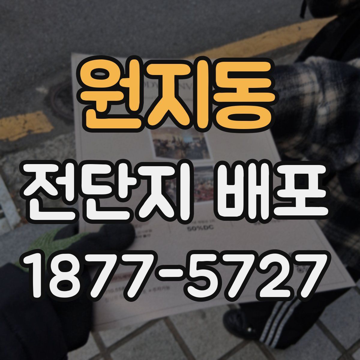 원지동 전단지 배포
