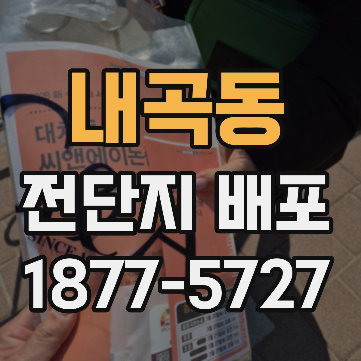 내곡동 전단지 배포