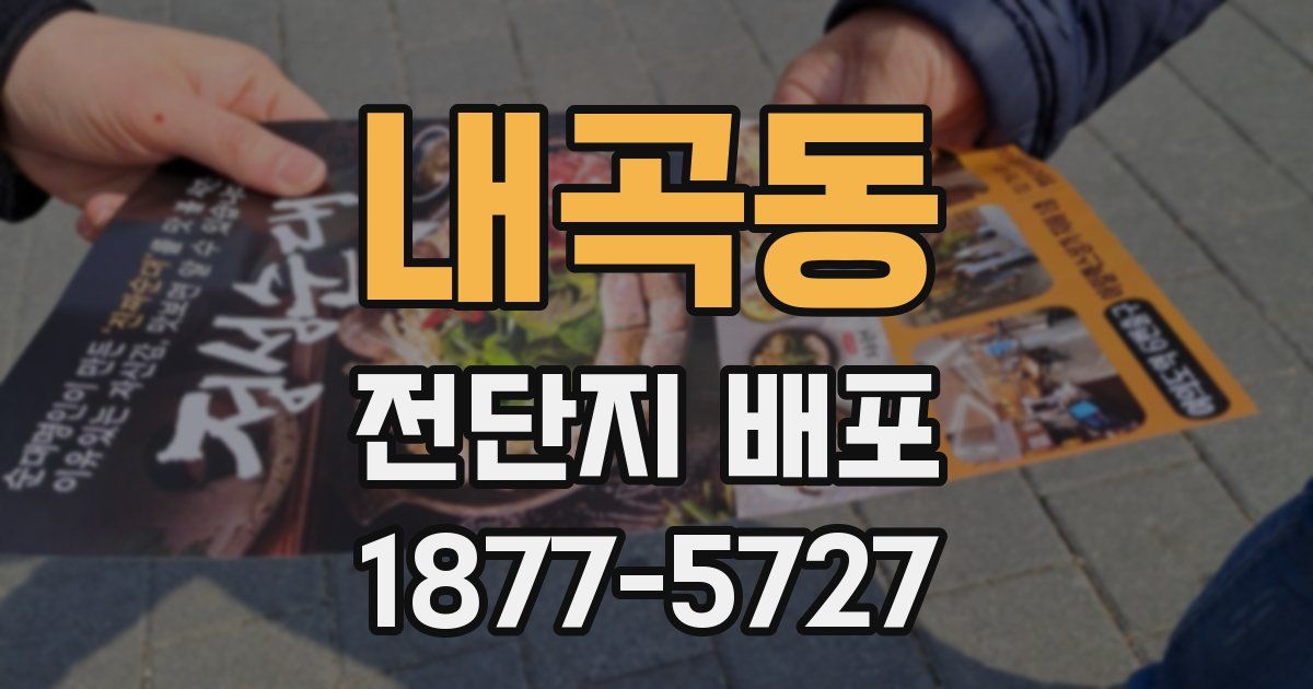 내곡동 전단지 배포