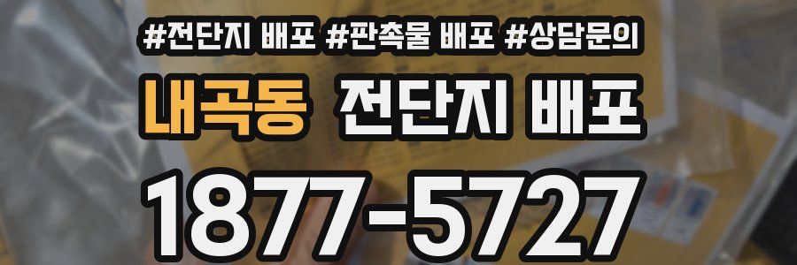내곡동 전단지 배포