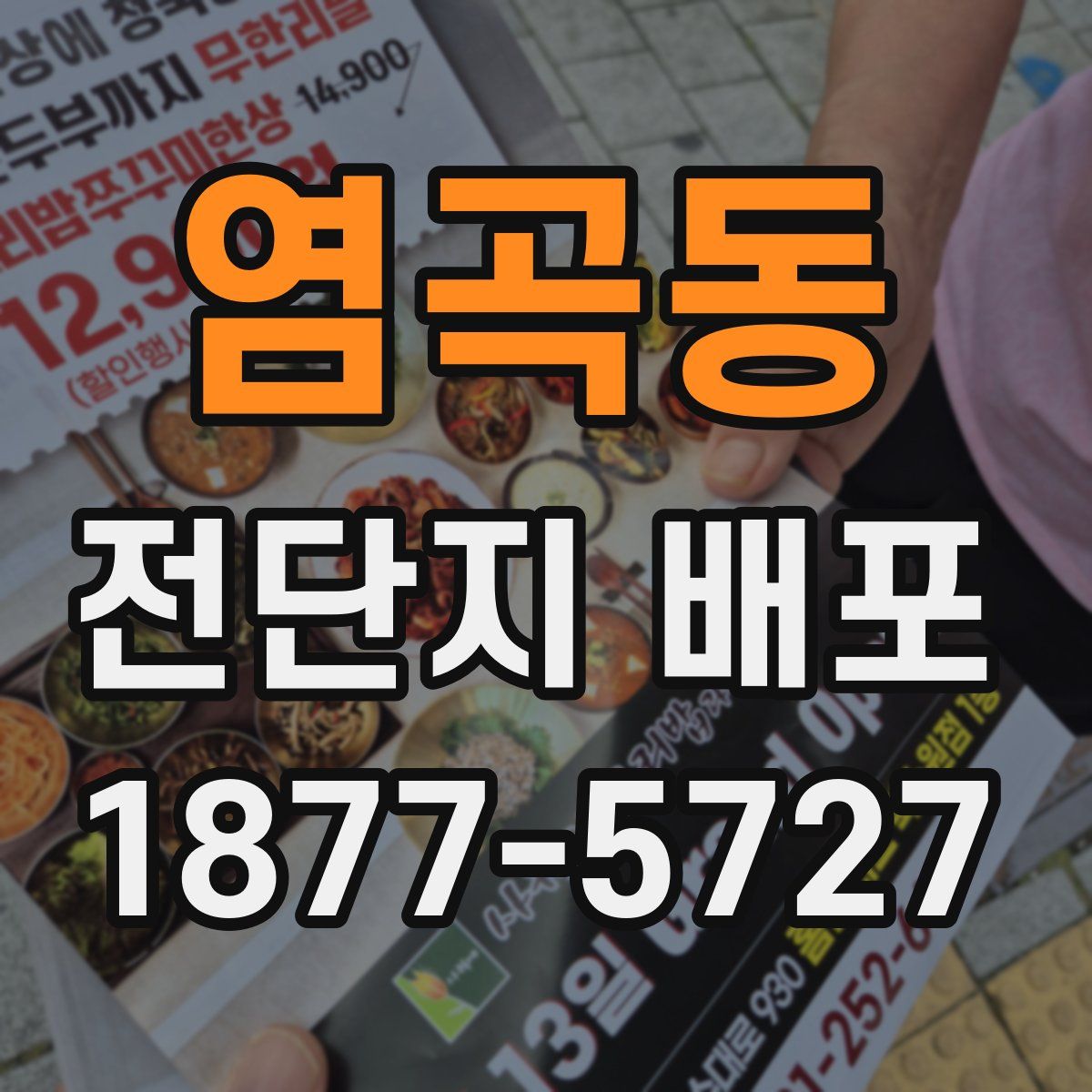 염곡동 전단지 배포