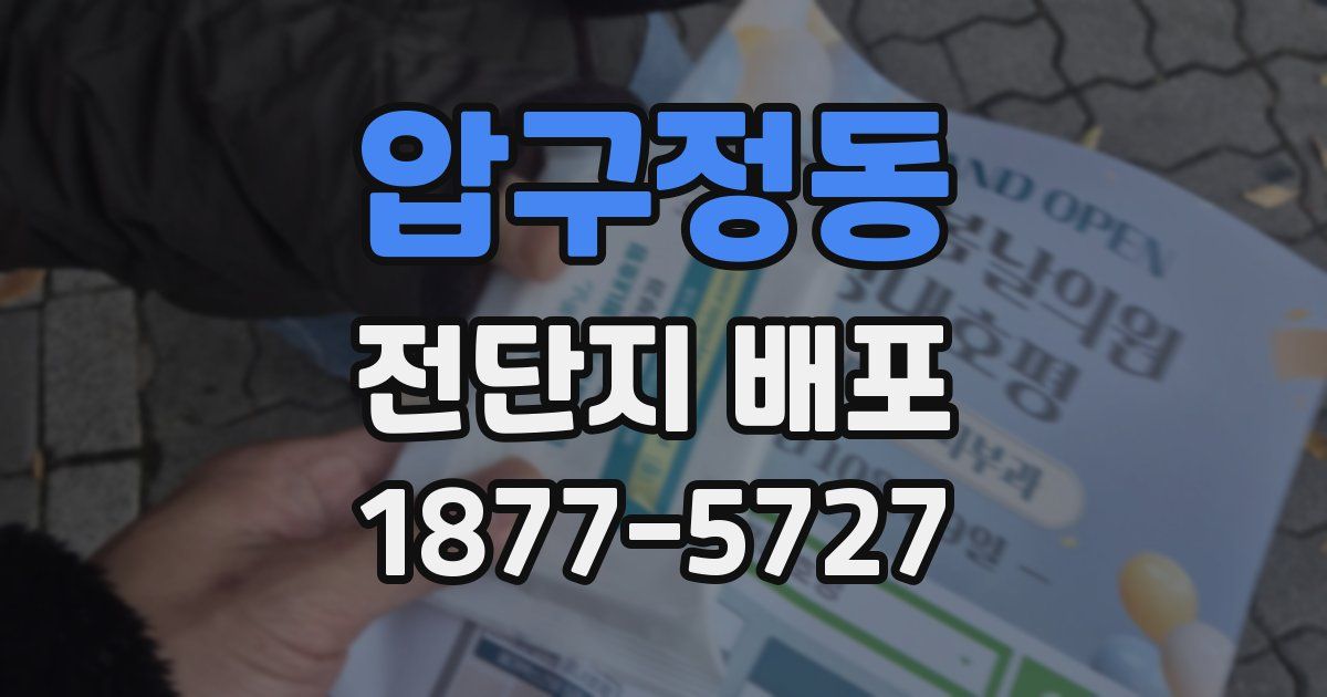 압구정동 전단지 배포