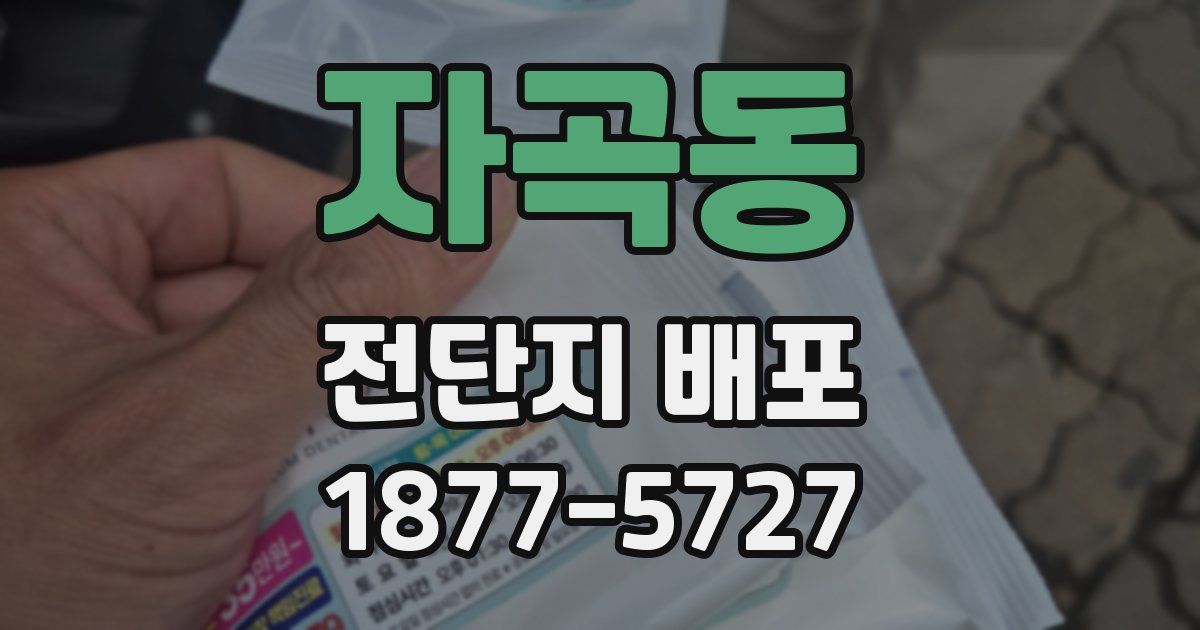 자곡동 전단지 배포