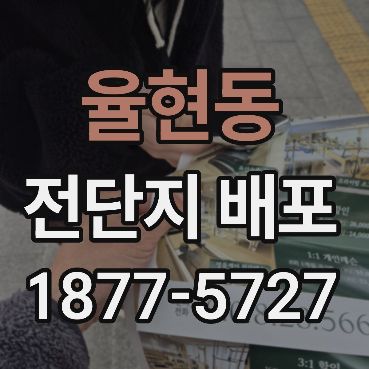 율현동 전단지 배포