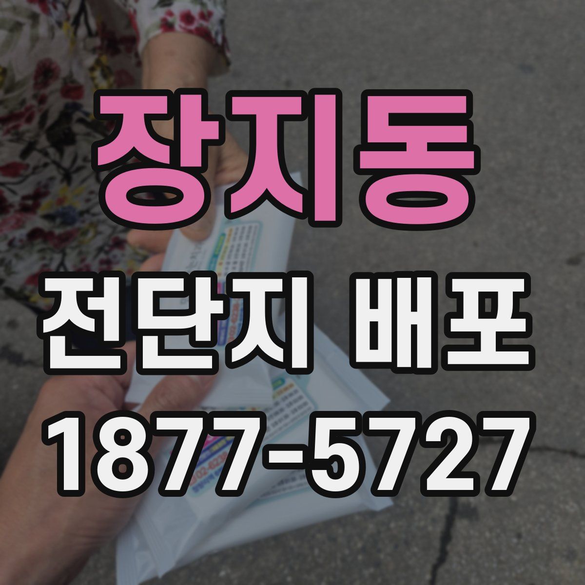 장지동 전단지 배포