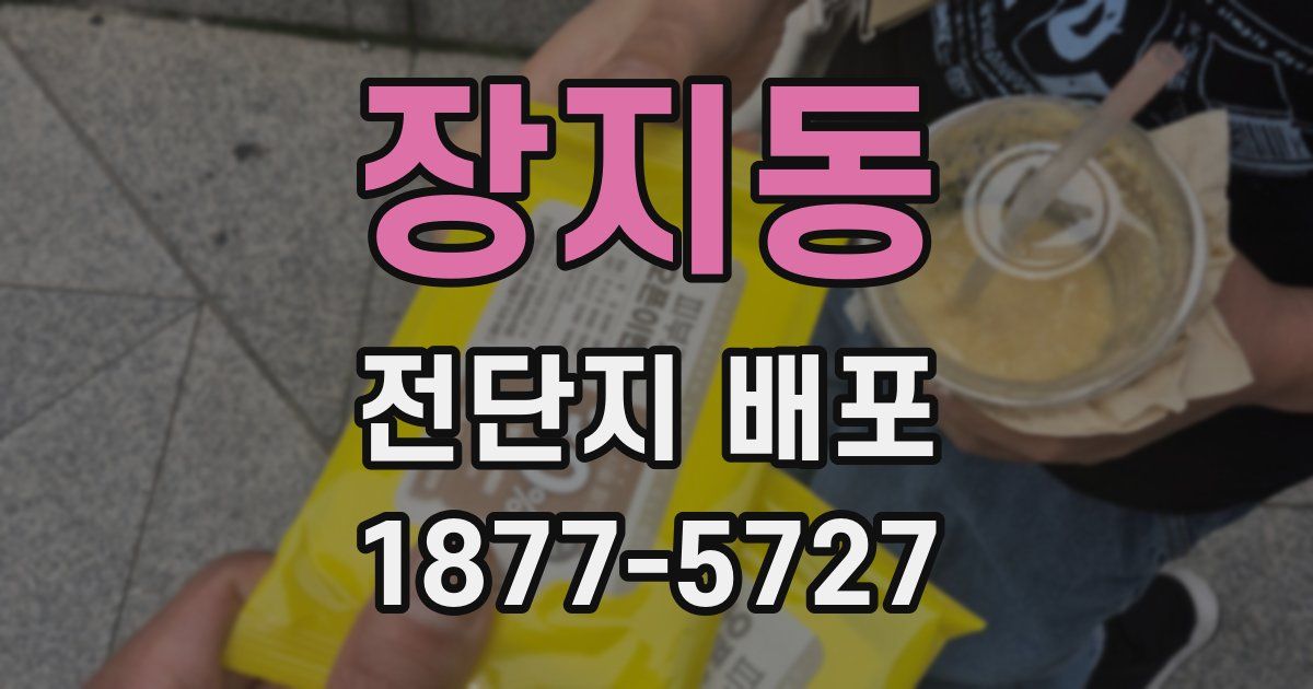 장지동 전단지 배포