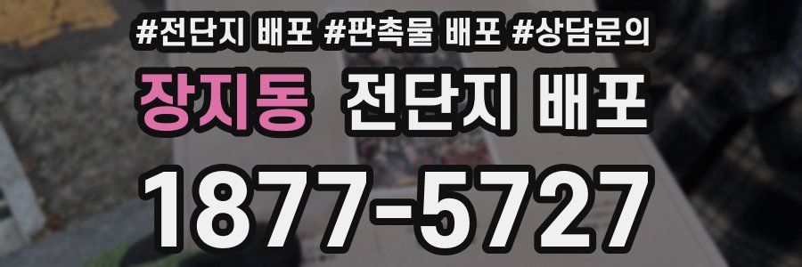 장지동 전단지 배포