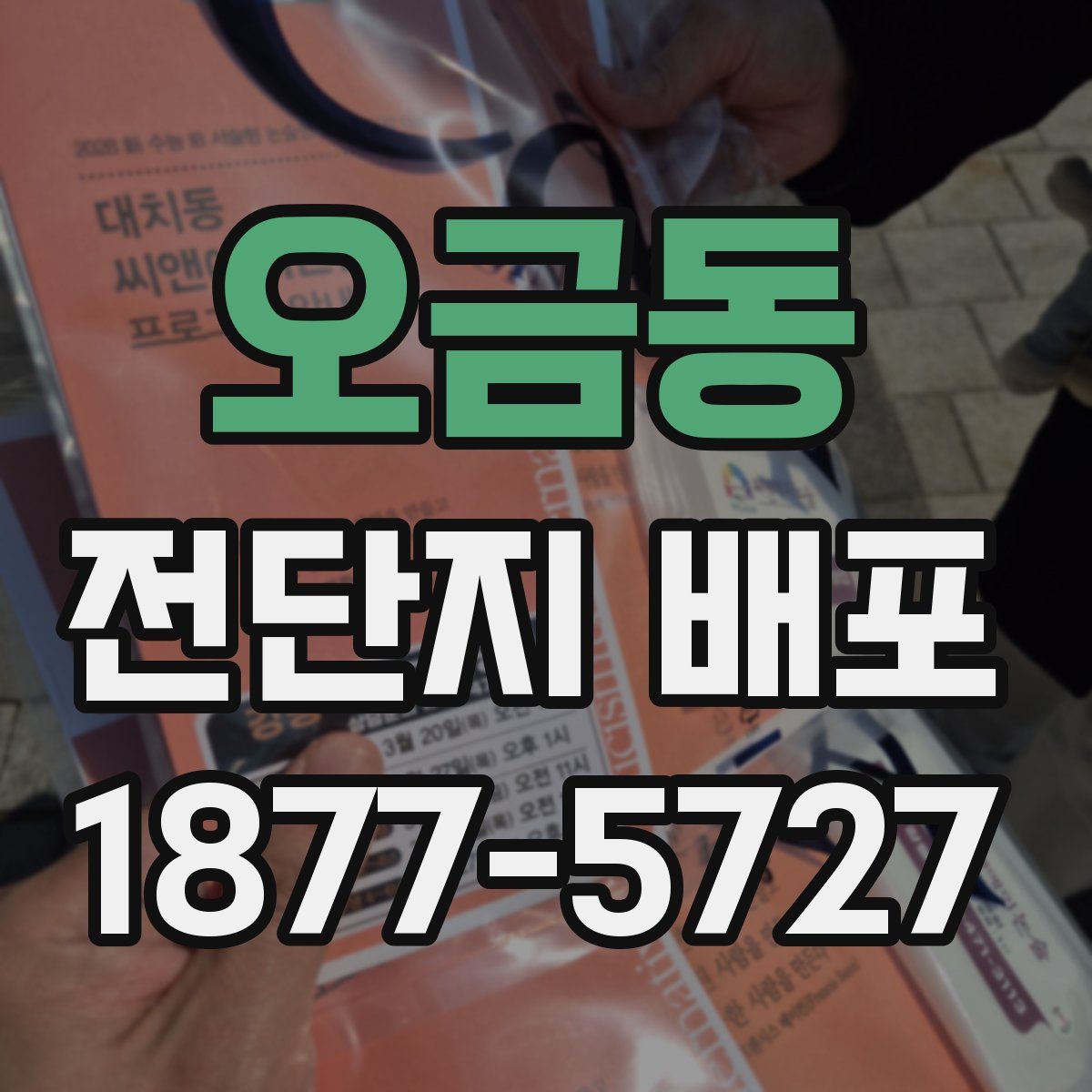 오금동 전단지 배포